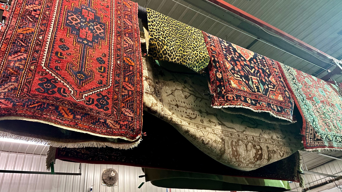Area rug drying after professional cleaning